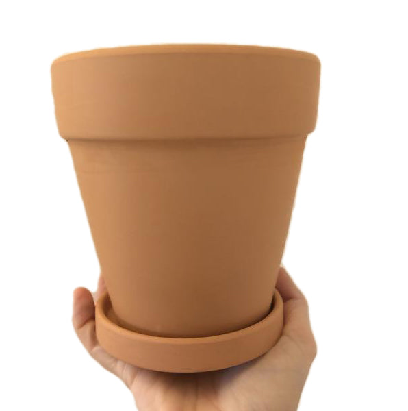 &quot;The Ultimate Plant&#39;s Best Friend&quot; Gift Set