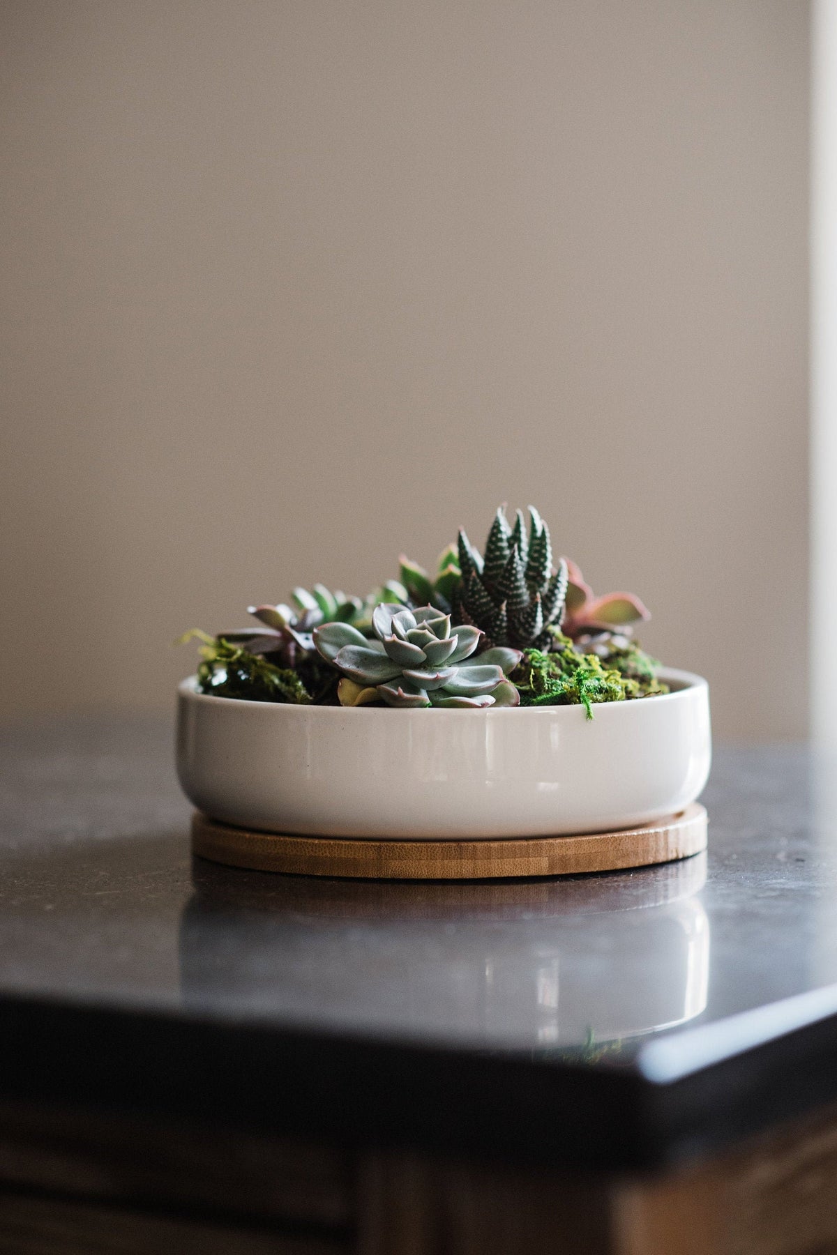 &quot;The Island&quot; Round Ceramic Planter &amp; Bamboo Dish