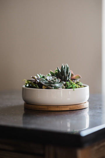 "The Island" Round Ceramic Planter & Bamboo Dish