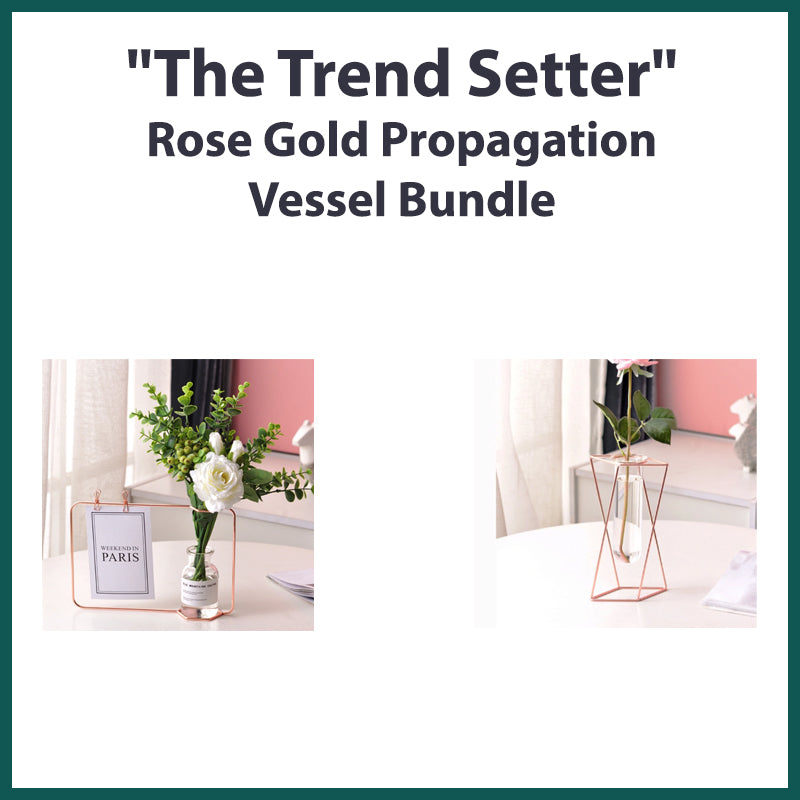 &quot;The Trend Setter&quot; Rose Gold Propagation Vessel Bundle