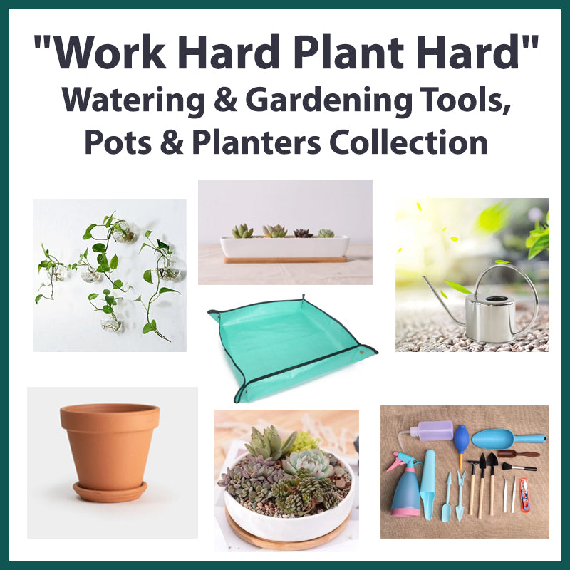 &quot;Work Hard Plant Hard&quot; Watering &amp; Gardening Tools, Pots &amp; Planters Collection